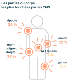les parties du corps touchées par les TMS troubles musculosquelettiques